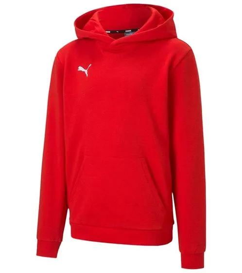 Pack of 2 PUMA teamGOAL 23 Casuals children's hoodies with kangaroo pocket, hooded sweater for young boys and girls 656711 